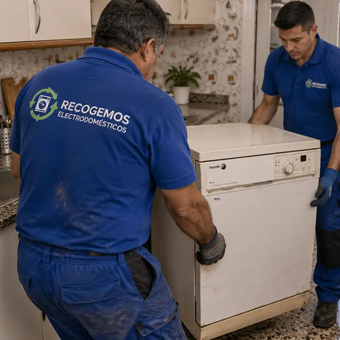 recogida de lavavajillas usado