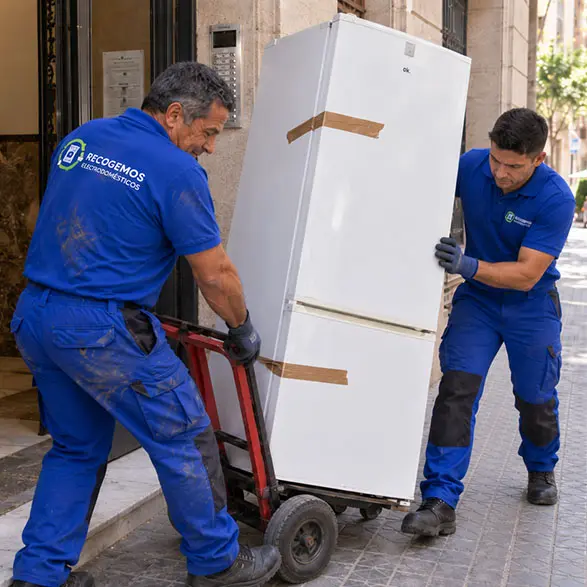 retirada de electrodomesticos en terrassa