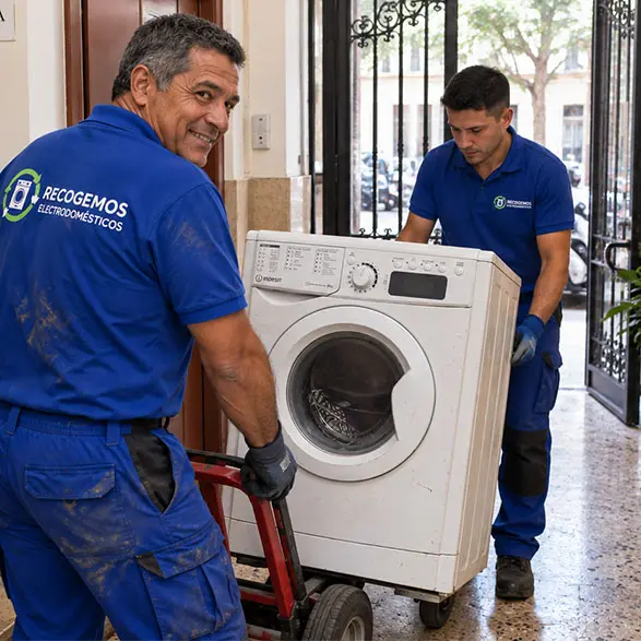retirada de electrodomesticos en rubi